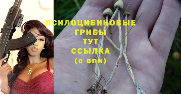 гидра Алзамай