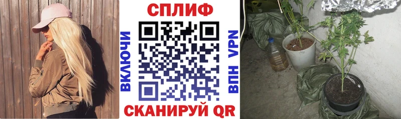дарнет шоп  Изобильный  Шишки марихуана планчик 